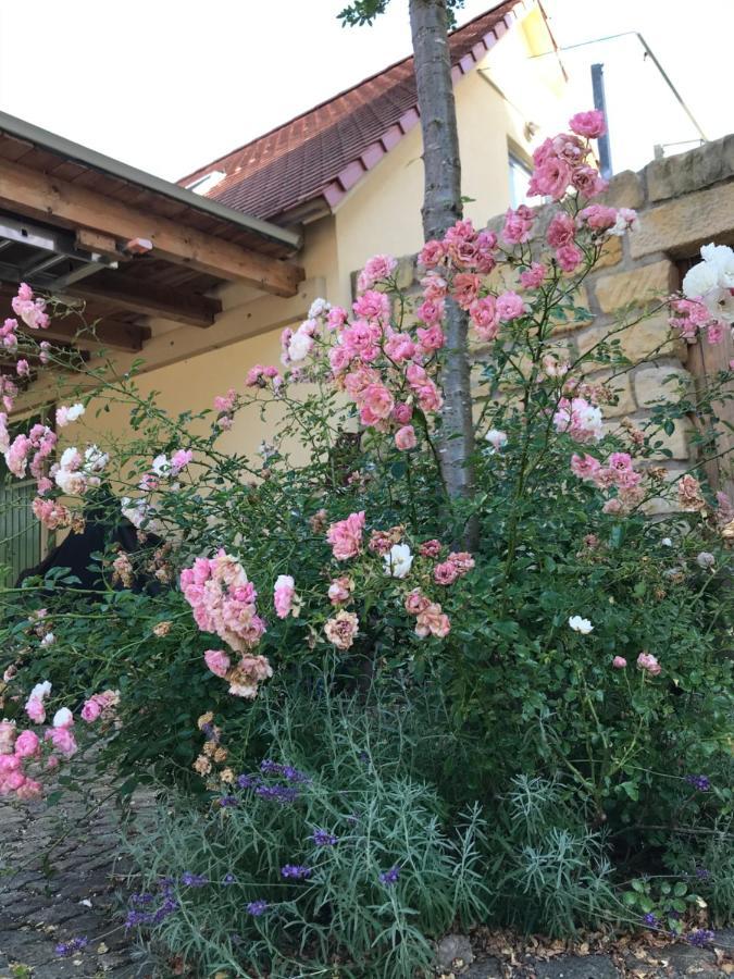 Appartement Naturapur Pleinfeld