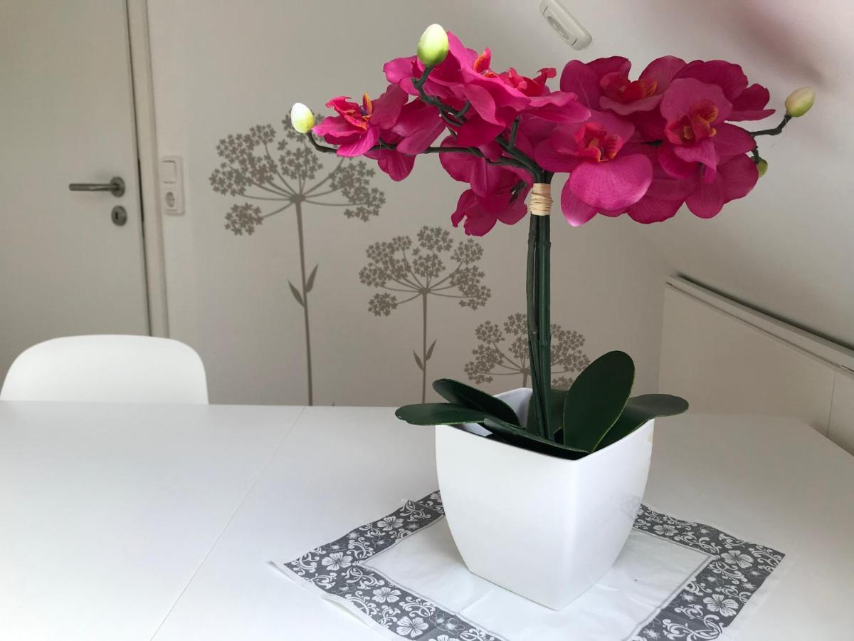 Naturapur Apartment